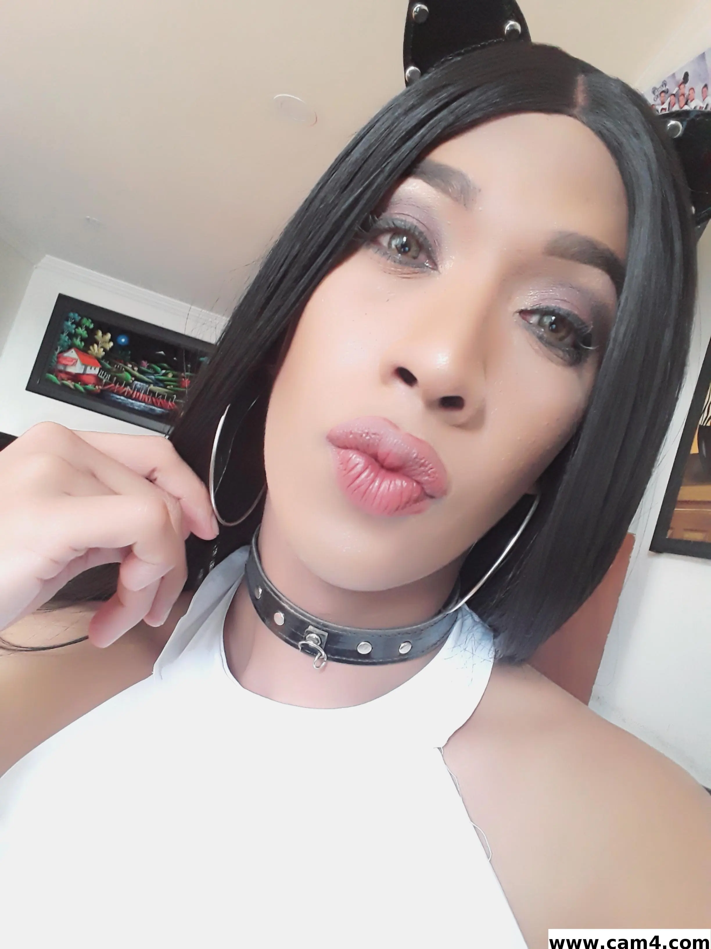 CatalinaBrawn image 0